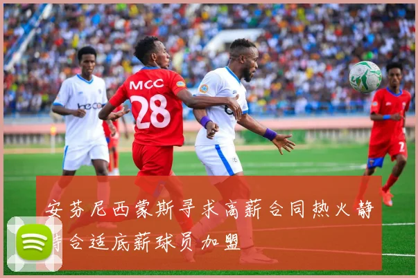 安芬尼西蒙斯寻求高薪合同热火静待合适底薪球员加盟